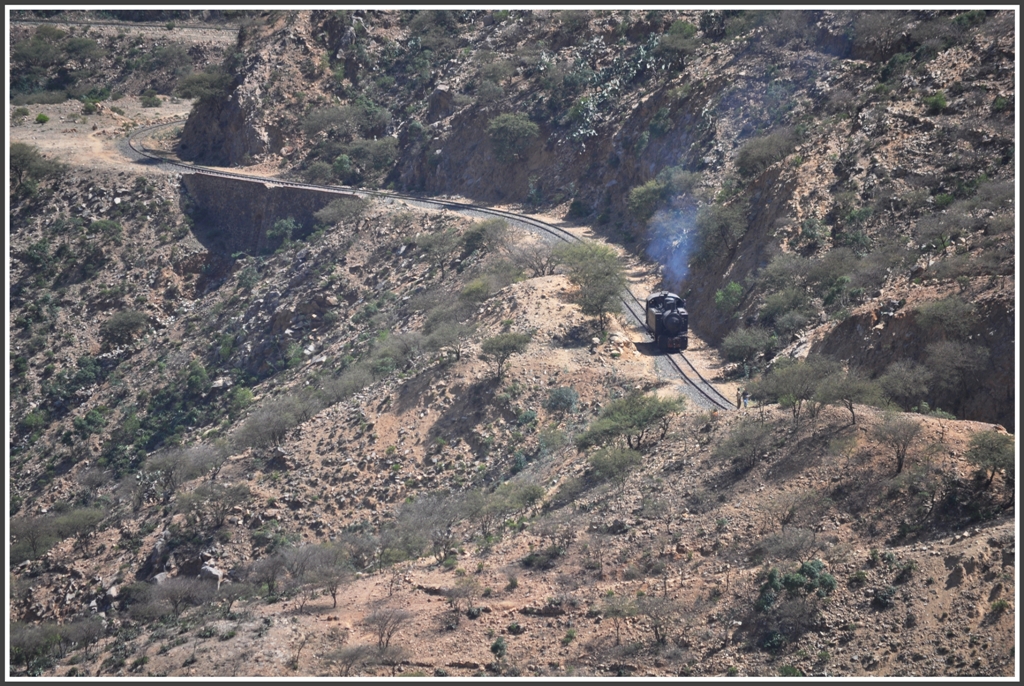 Nach langen zwei Stunden kommt die 442.56 zurck. (01.02.2012)
