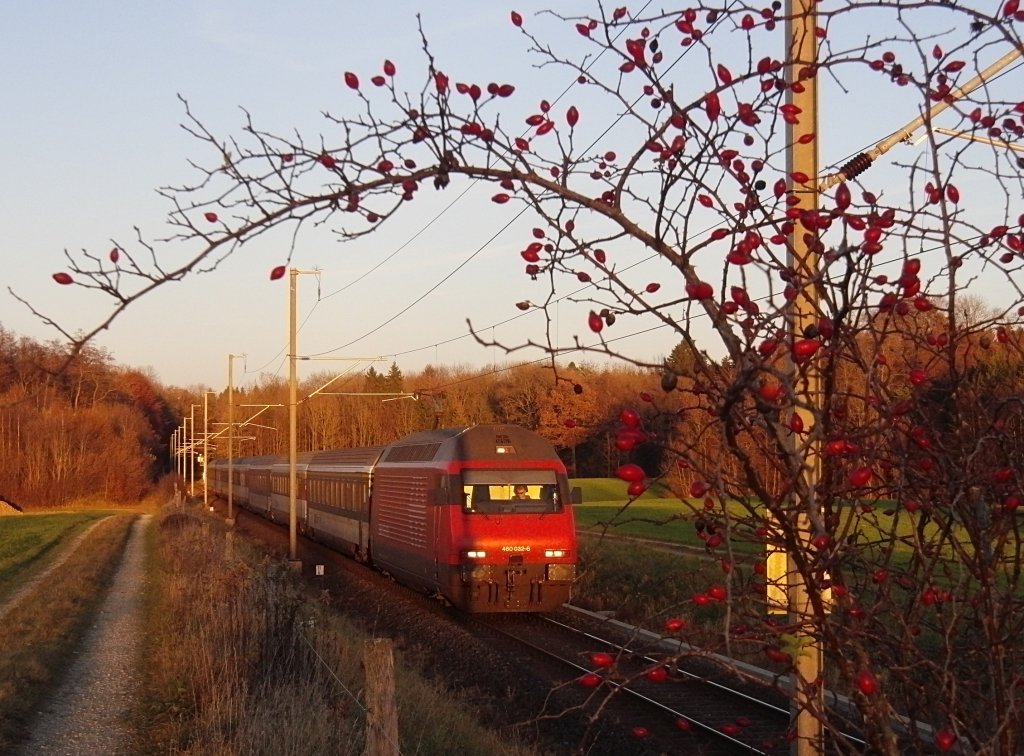 Nachdem beim ersten hier verffentlichten „Hagebutten-Bild“ die Lichtverhltnisse nicht die Besten waren, ein kleiner Zweig in Richtung Zug ragte und das Bild vorerst nicht wiederholbar ist, versuchte der Fotograf sein Glck an einer anderen Bahnstrecke bei anderen Lichtverhltnissen. Re 460 032-6 mit IR 2132 von Konstanz nach Biel am 27.11.2011 kurz vor Siegershausen.
