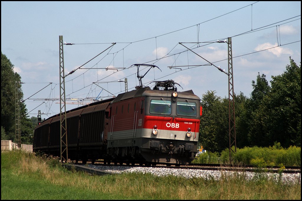 Nachdem kein Gterzug in Bad Aibling abgelichtet werden konnte, wurde die Fotostelle in Pfrauendorf bei ca. 30C aufgesucht. 1144 229 eilt mit einem Gterzug durch das Inntal in Richtung Kufstein. (05.08.2009)