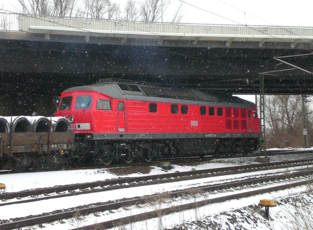 Nachschuss auf die, in Richtung Potsdam, ausfahrende 233 127 in Brandenburg Hbf am 12.02.2010.