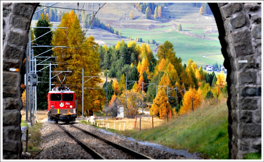 Nachschuss auf die Ge 6/6 II 706 bei Pontresina. (11.10.2012)
