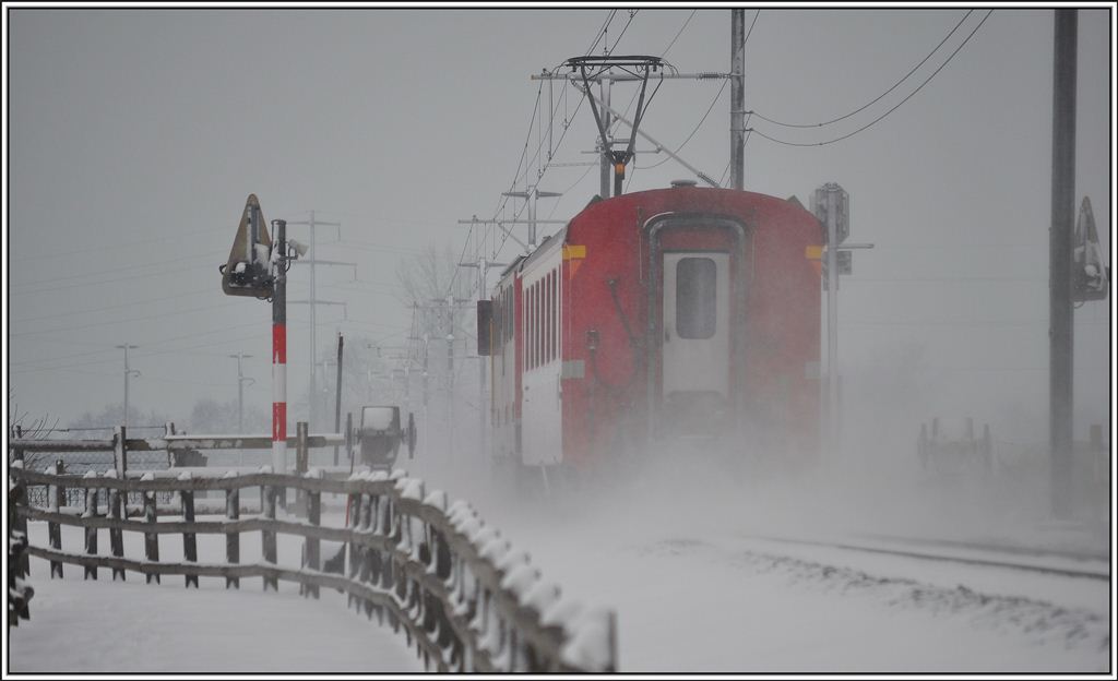 Nachschuss auf das gleiche Gespann  wie das vorherige Bild. (12.02.2013)