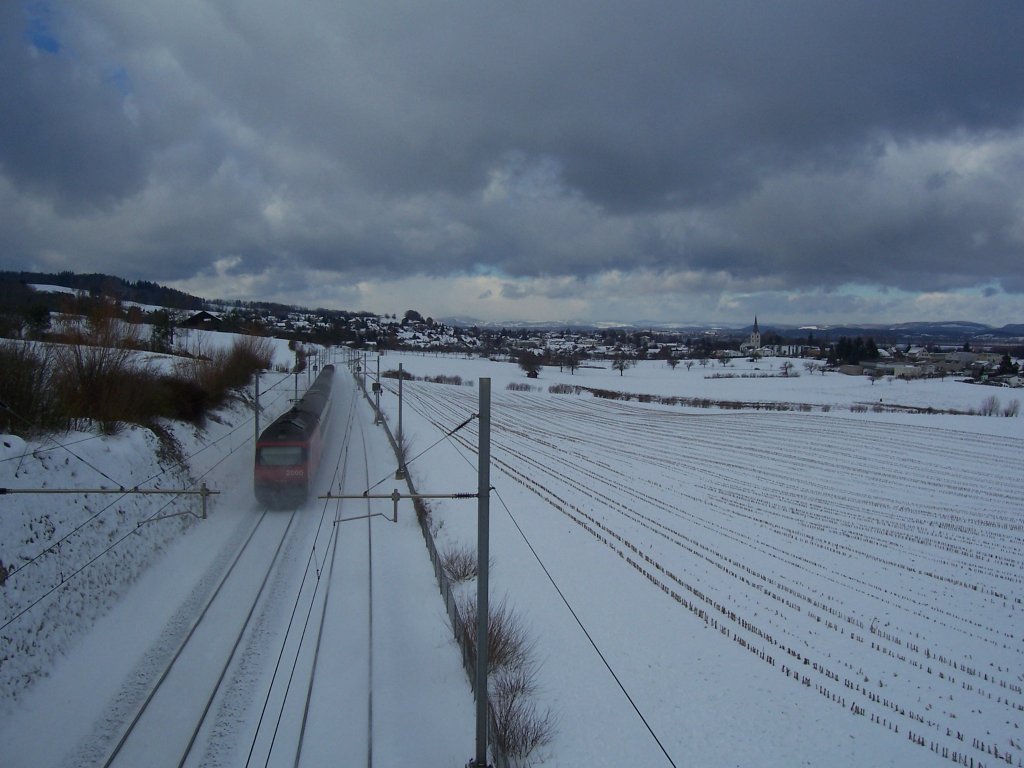 Nachschuss auf IR 9059 Biel - Konstanz zwischen den Stationen Kreuzlingen Bernrain und Tgerwilen Dorf am 30.01.2010 mit Blick ins Hegau im Hintergrund.