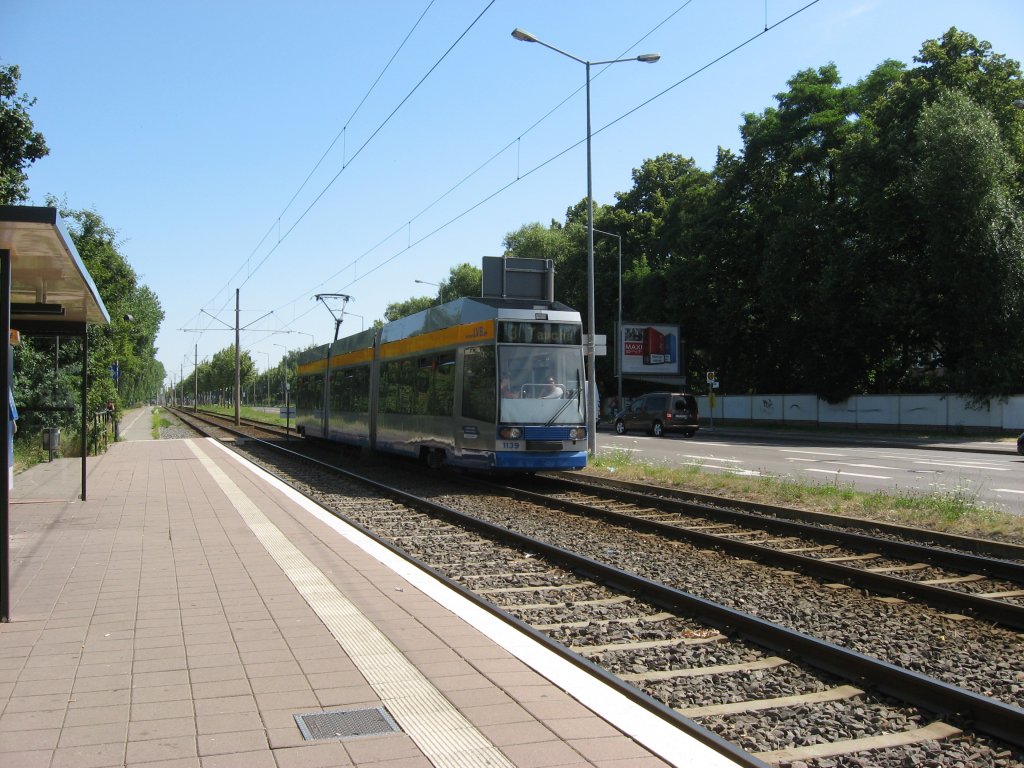 Nachschu auf TW 1139 unterwegs als Linie 3 Richtung Taucher am 23.7.13 aufgenommen an der Haltestelle Permoser-/Torgauer Str.
