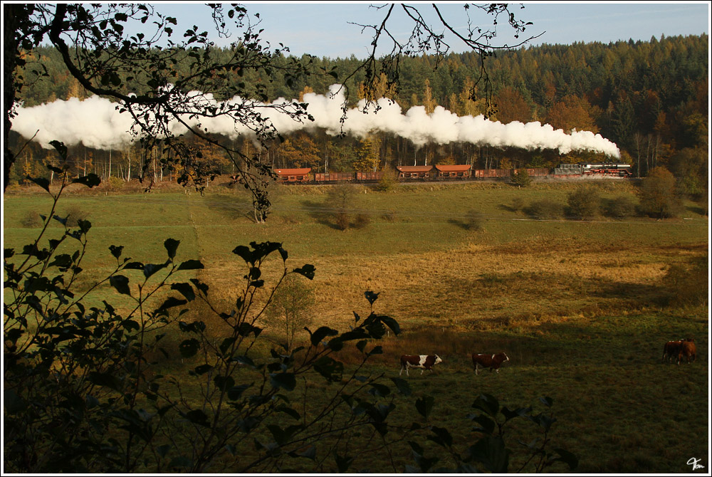 Nahe Benshausen entstand dieses Bild der Dampflok 50 3501 mit einem Fotogterzug von Meiningen nach Zella-Mehlis - Plandampf Werratal.
29.10.2011