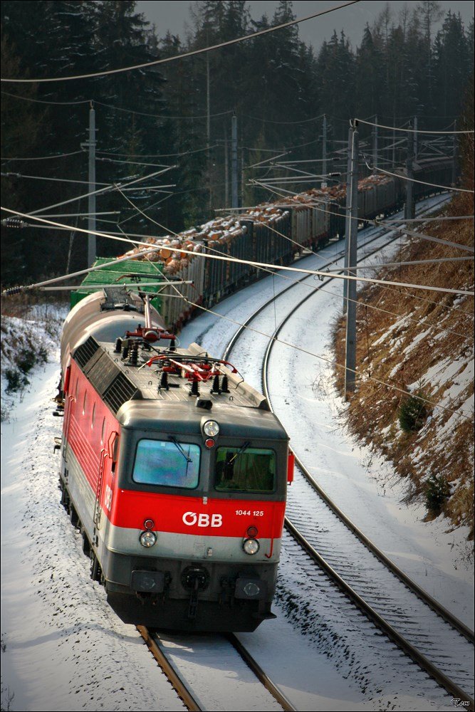 Nahe Zeltweg konnte ich die 1044 125 mit einem Holzzug ablichten.
9.2.2010