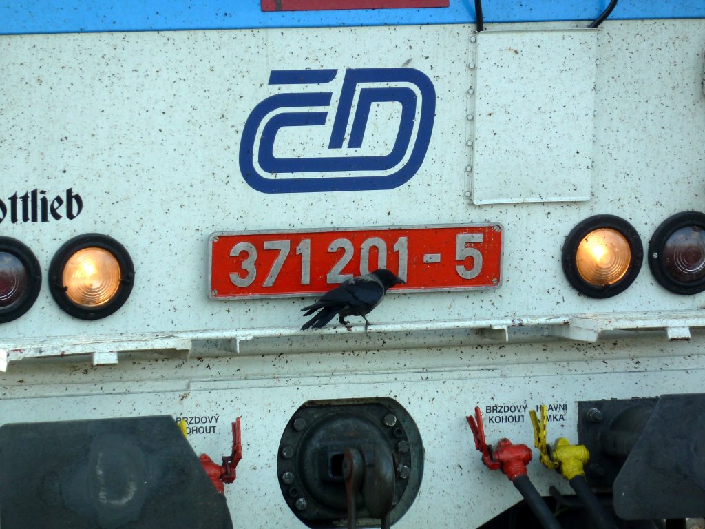 Nanana ... da hat sich wohl ein hungriger  Schwarzfahrer  an die wartende 371 201 gemacht um die Insekten abzupicken und ich glaube er ist sehr reichlich fndig gewurden :D.

Dresden Hbf 7.5.12