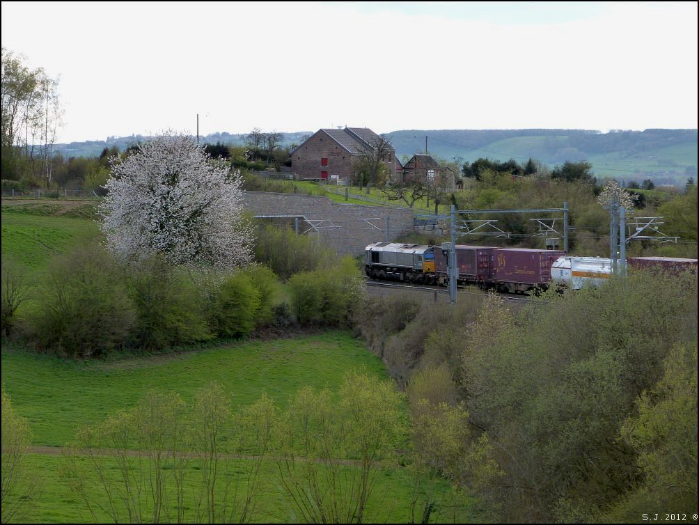 Natur pur soweit das Auge reicht. Und mittendrin die Montzenroute,hier bei Botzelaer,Belgien im April 2012. Eine Class66 ist mit ihrer Gterfracht unterwegs
nach Montzen Gare.
