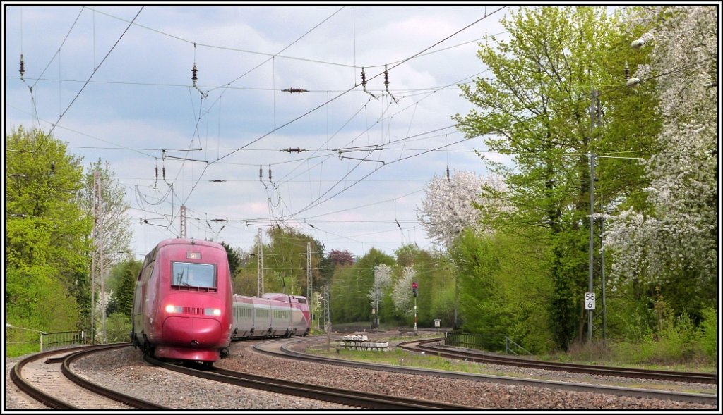 Natur und Technik. Diese farbliche Frhlingskomposition gelang mir im April 2013
am Bahnhof von Eschweiler. Der Thalys auf Durchfahrt mit Ziel Aachen Hbf.