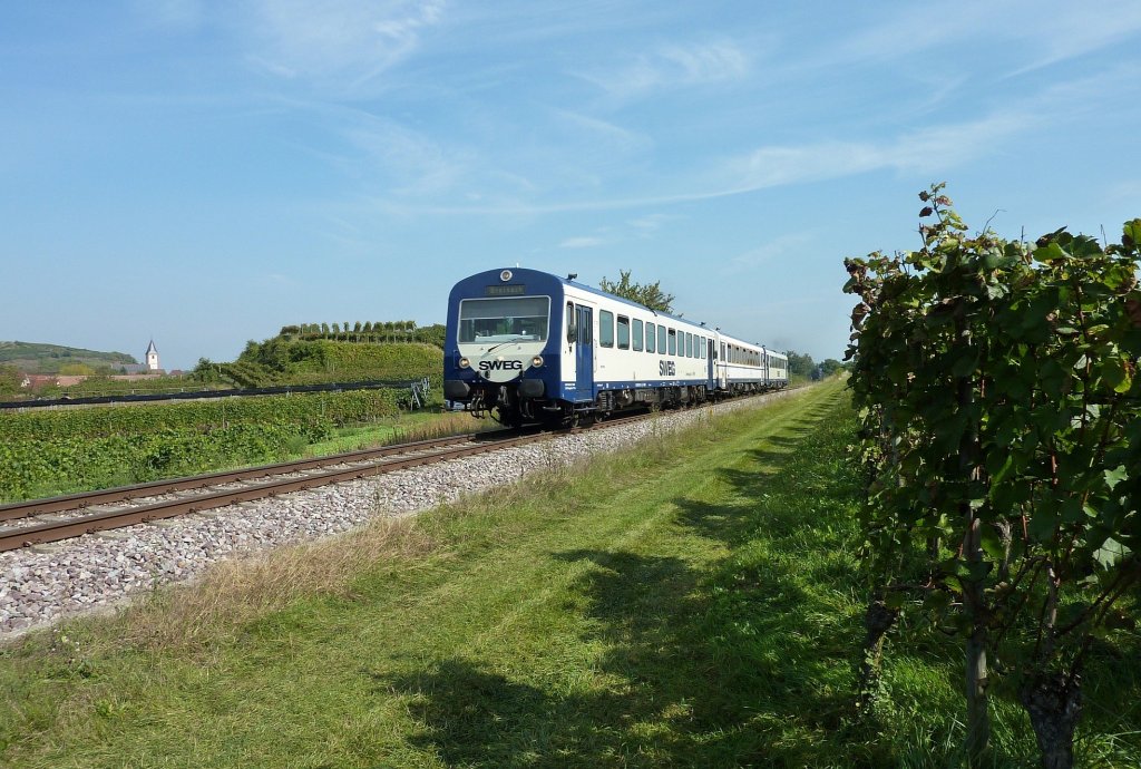 NE 81 Umlauf am Kaiserstuhl: Hier VT 128, VS 204 und VT 129 am 25.09.11 bei Sasbach