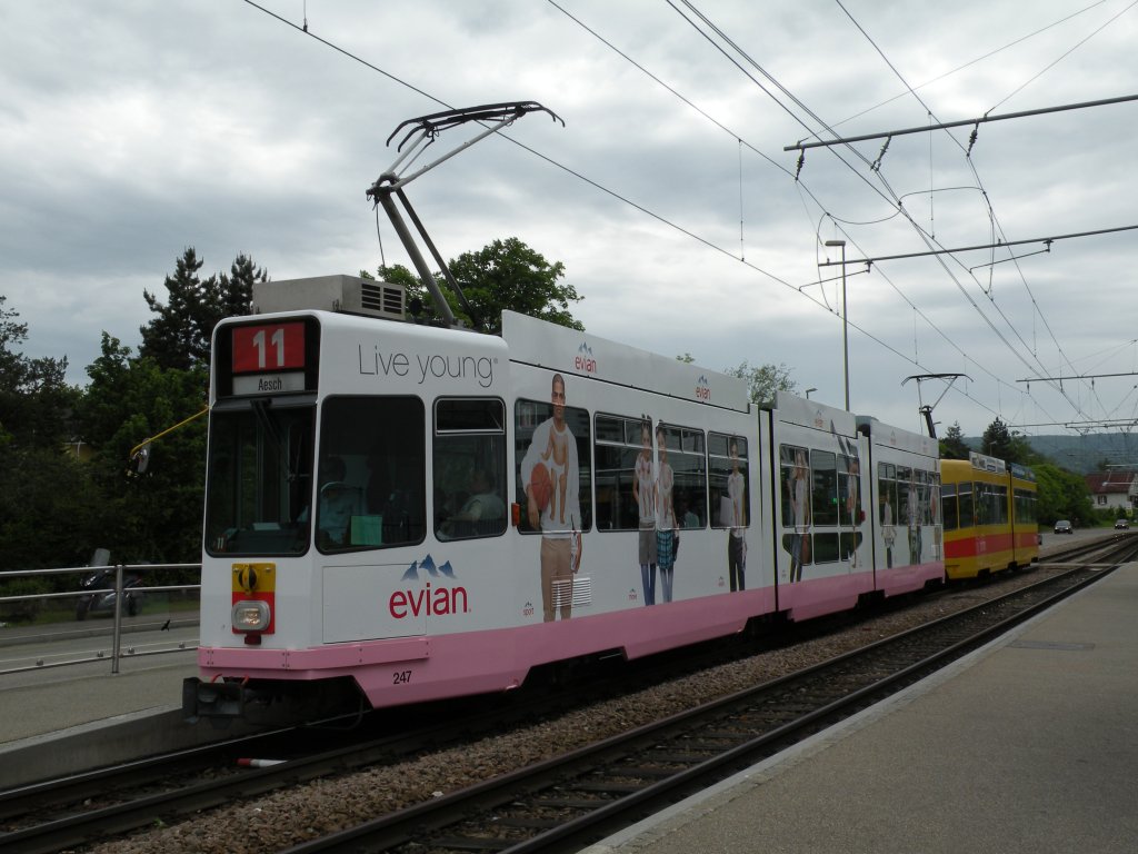 Neu macht der Be 4/8 mit der Betriebsnummer 247 Werbung fr Evian Hier steht der Wagen an der Haltestelle Schaulager auf der Lnie 11. Die Aufnahme stammt vom 19.05.2012.