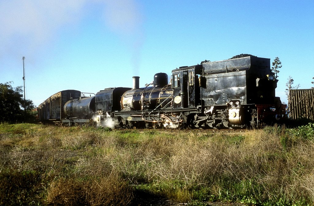 NG 131  Port Elizabeth  28.08.01