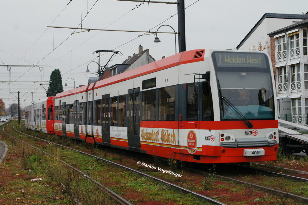 Niederflurwagen 4019 noch mit seiner alten  Reissdorf Klsch  Teilreklame und im alten KVB-Farbschema.
Hier zu sehen auf der Aachener Strae am 13.11.2012.
