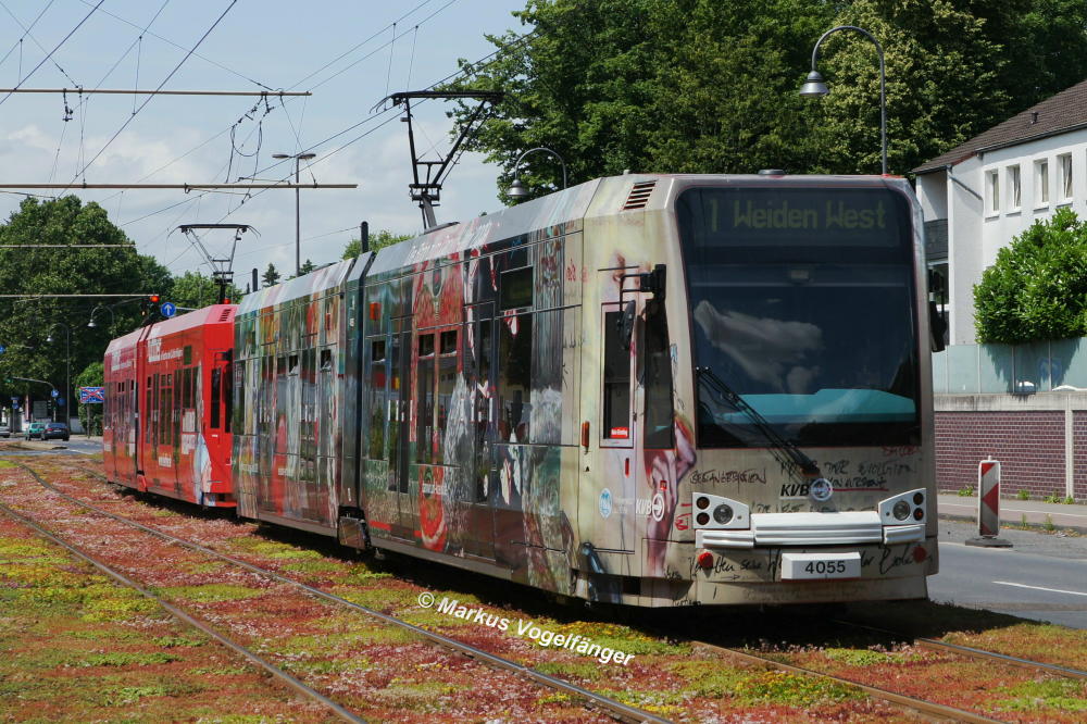 Niederflurwagen 4055 auf der Aachener Strae in Hhe des Vogelsanger Weges am 23.06.2012