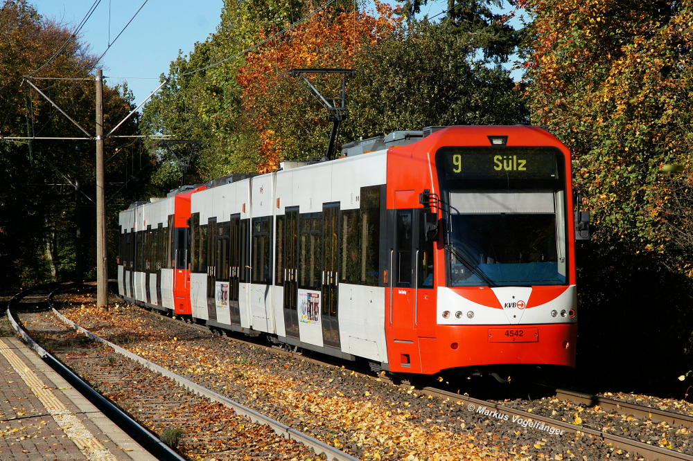 Niederflurwagen 4542 auf Hhe der Haltestelle Steinweg am 27.10.2012.