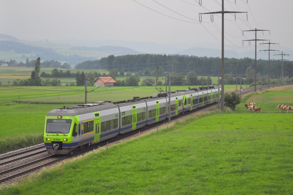 Nina-Doppel als S 1 nach Fribourg bei Allmendingen am 15.06.2010