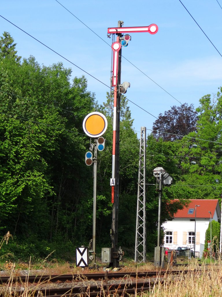 Noch alte haupt- und vor- formsignalen. Bf. Lindau Reutin - 12/06/2013