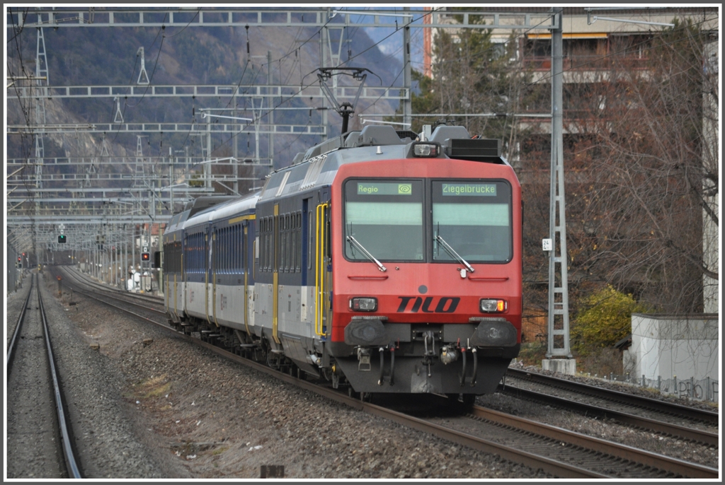 Noch ein abgeschobener NPZ in Chur Wiesental, dieses Mal von Tilo (Ticino/Lombardia). (30.11.2011)