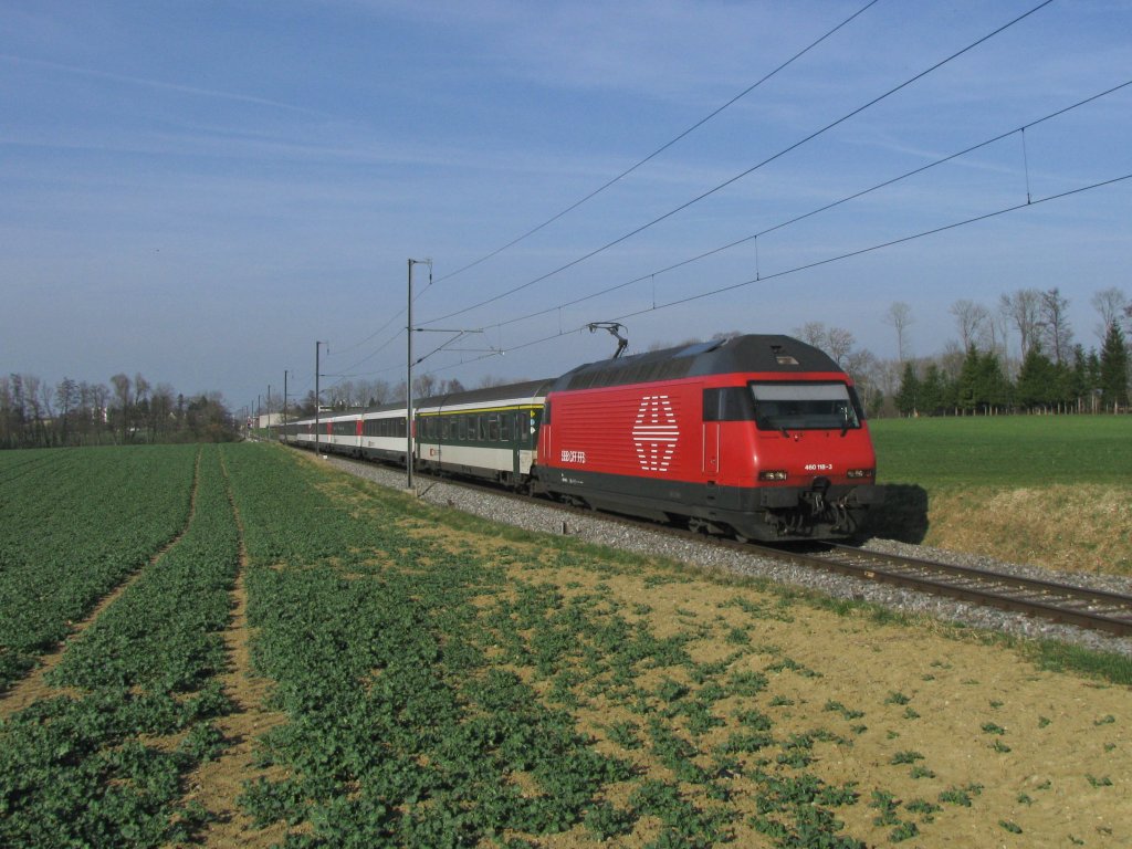 Noch immer verhltnismssig bunt sind die IR Konstanz-Biel. Im Gegensatz zu den meisten anderen verpendelten Fernverkehrszgen bentzen sie weder die NBS noch den Ltschbergbasistunnel, was den Einsatz von nicht modernisierten wagen ermglicht. Re 460 118 zieht hier bei  Siegershausen den IR 2132 ber den Seercken ins Thurtal. (24.Mrz 2011)