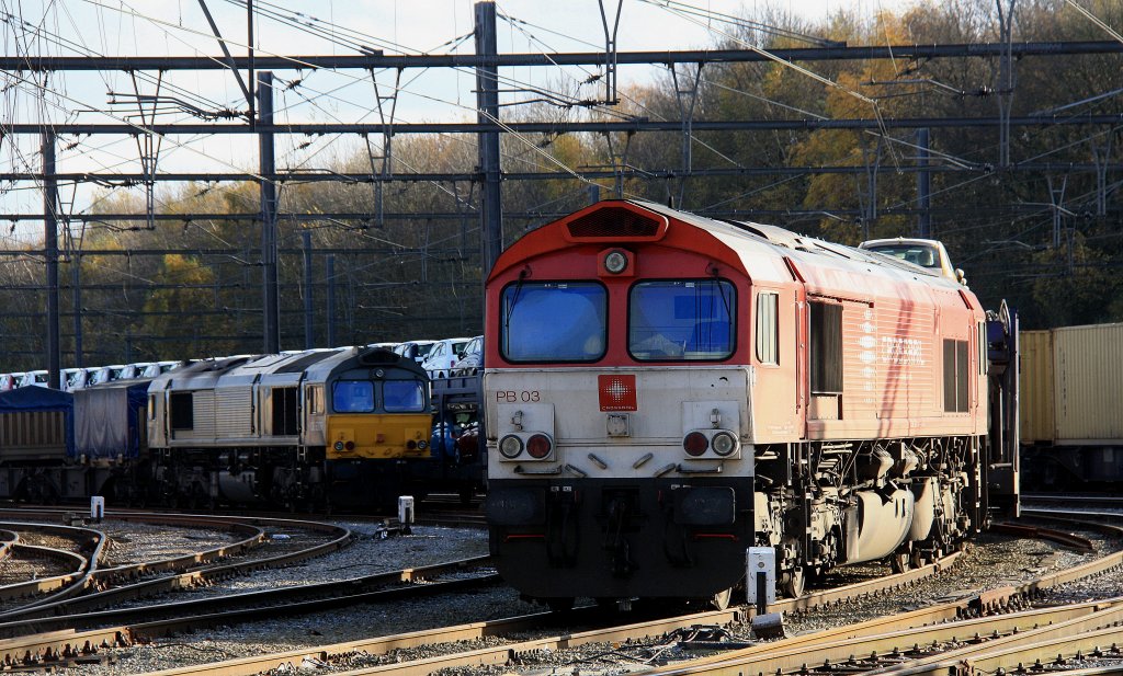 Nochmal die Class 66 PB03  Mireille  von Crossrail steht in Montzen-Gare(B) mit einem sehr langen Fiat-Autozug und  auf dem Nebengleis steht die Class 66 DE6306 von DLC Railways mit einem sehr langen Containerzug bei sch�ne Novembersonne am 25.11.2012.