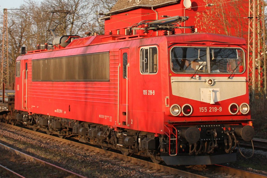 Nochmal im Portrait:155 219 am 30.1.11 in Ratingen-Lintorf