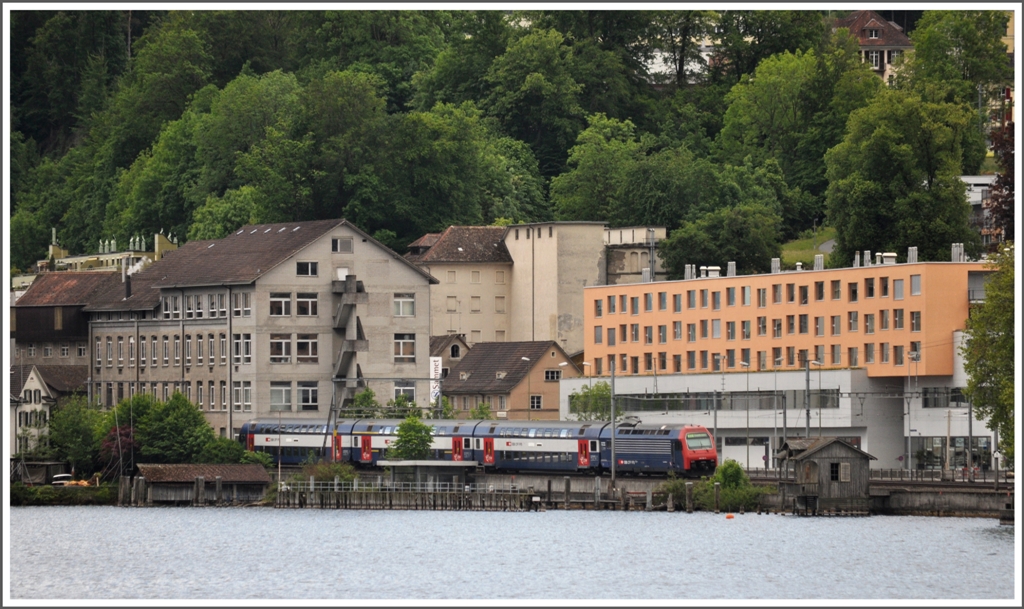 Nochmals ein paar  Schiffsbilder . S-Bahn Re 450 bei Wdenswil. (21.05.2012)