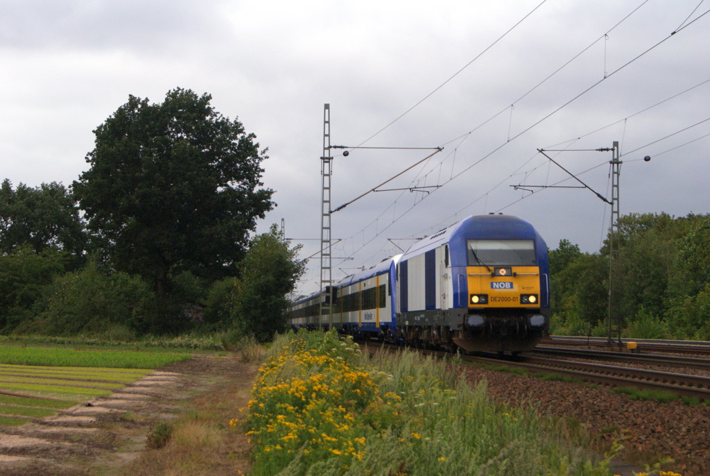 NordOstseeBahn DE 2000-01 mit einer NOB nach Hamburg-Altona in Halstenbek am 29.07.2011