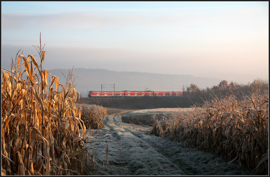 Novembermorgen - 

Ähnlich aber doch wieder anders: ein S-Bahnzug in Richtung Stuttgart auf der Remsbahn bei Weinstadt-Endersbach. Gar nicht so einfach zu fotografieren, da man sehr seitlich auf den Zug blickt, so erwischt man oftmals nicht den richtigen Auslösezeitpunkt. Bei Lokzügen kommen sich leicht auch die Oberleitungsmasten und der Pantograf ins Gehege. In der Hinsicht eignet sich hier die S-Bahn besser. 

14.11.2011 (M)