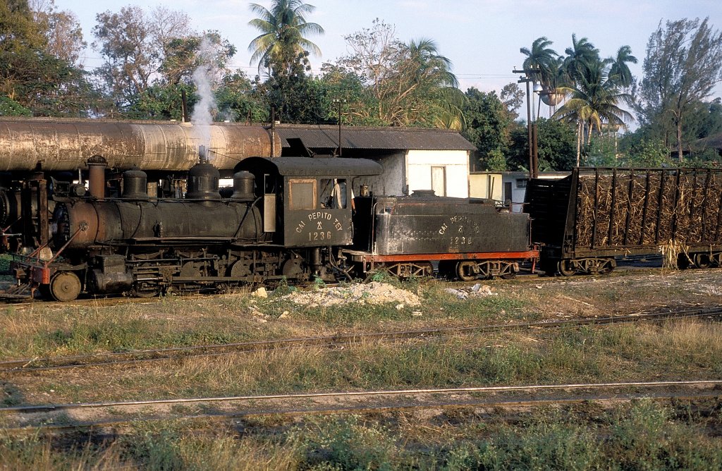 Nr. 1236  Pepito Tey  22.03.01