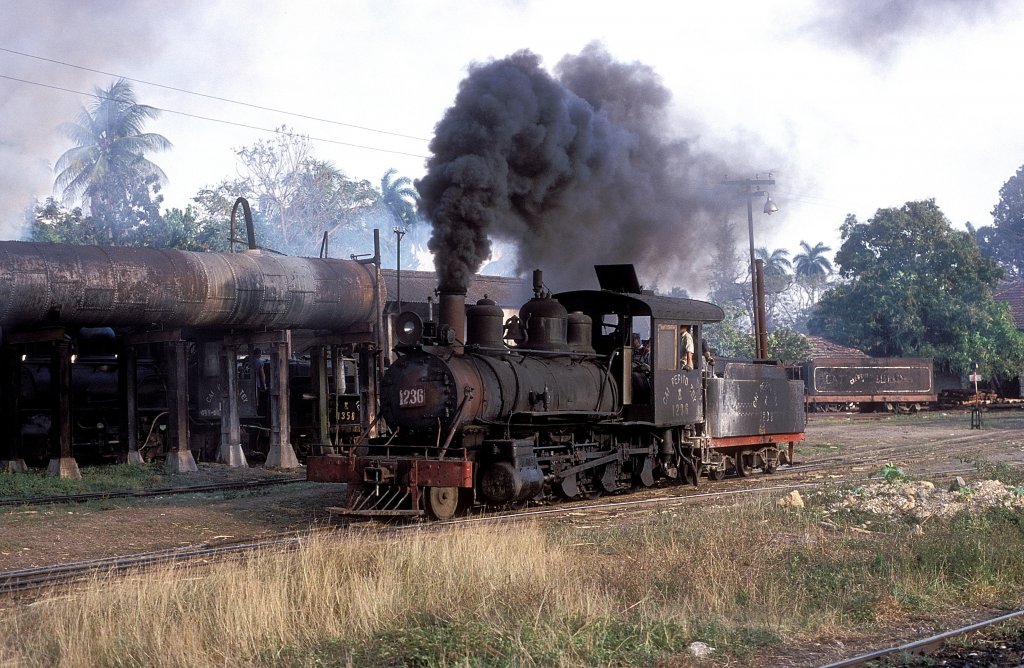  Nr. 1236  Pepito Tey  22.03.01