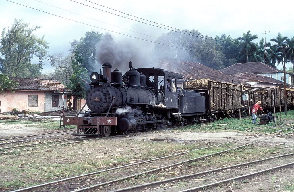 Nr. 1256  Pepito Tey  12.03.96