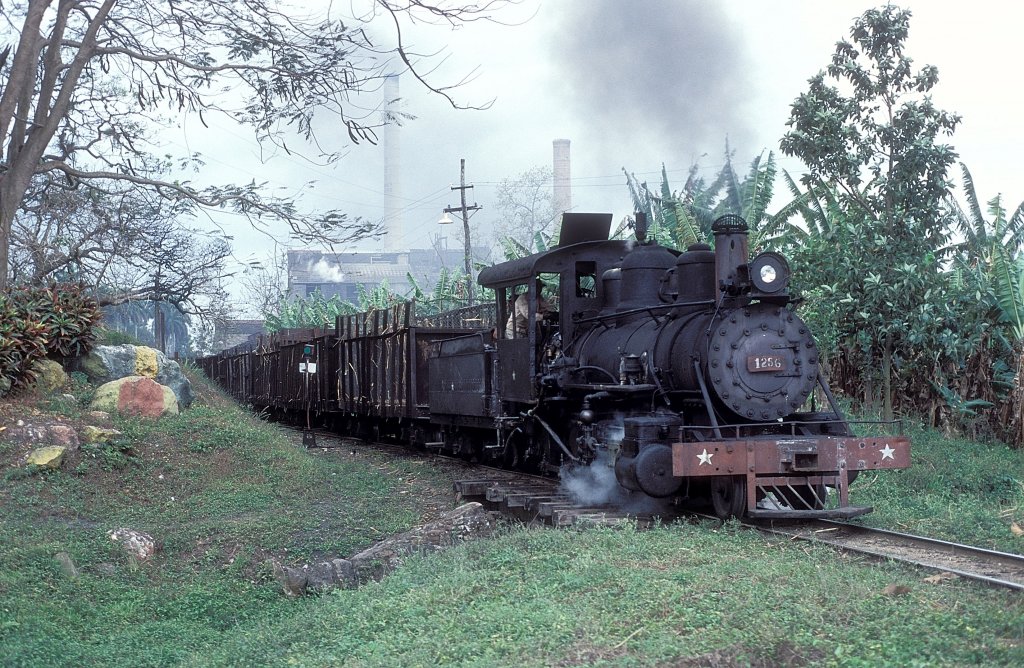 Nr. 1256  Pepito Tey  12.03.96