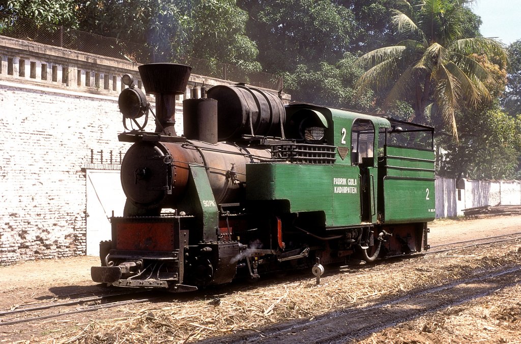  Nr. 2  Kadhipaten  11.08.95