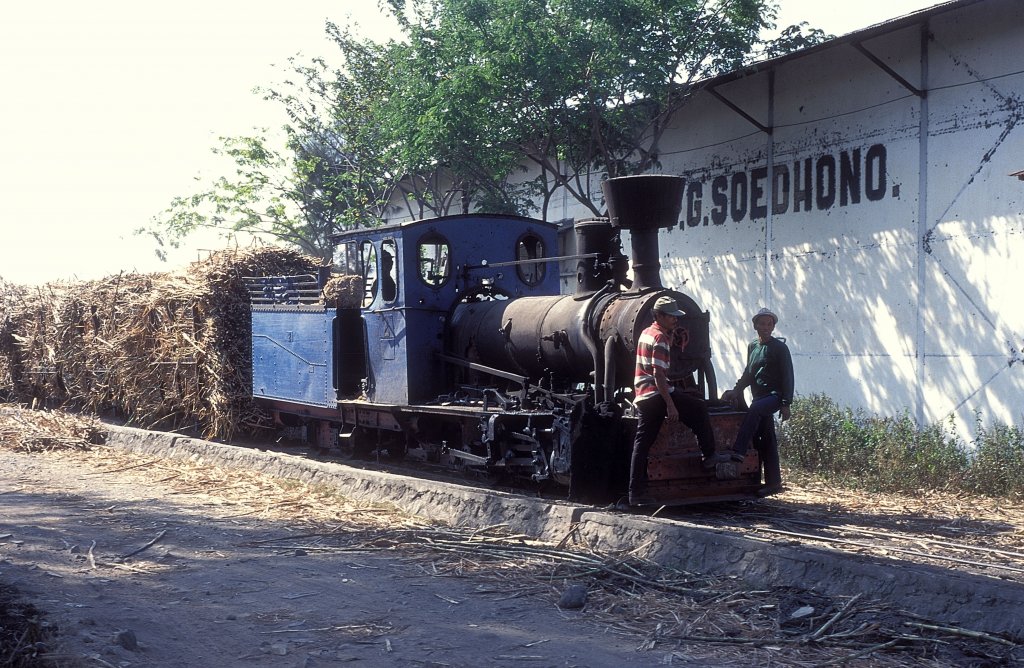  Nr. 2,2  Soedhono  18.08.95  ( Jung  Nr.3626  Bj 1924 )