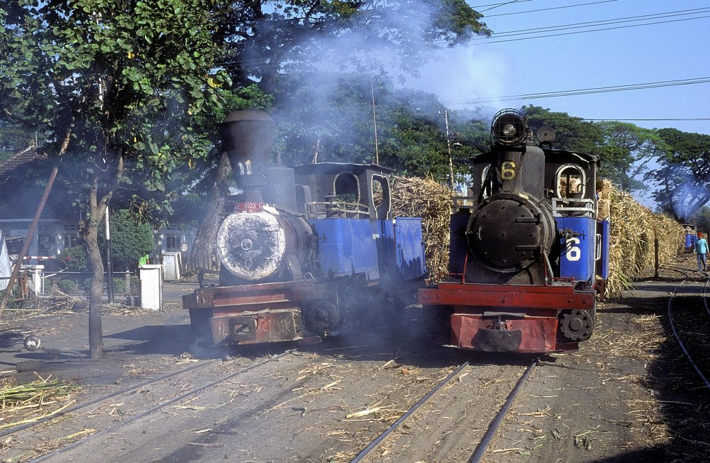  Nr. 6 + Nr. 11  Kanigoro  19.08.95