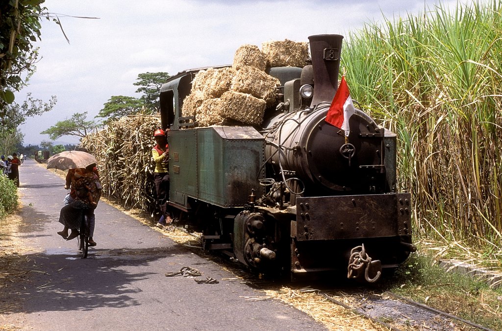 Nr. 8  Gondang Baru  17.08.95