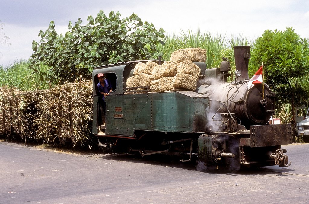 Nr. 8  Gondang Baru  17.08.95