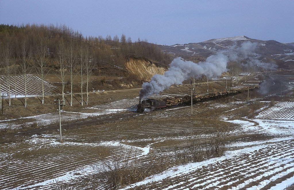 Nr.02  Waldbahn Yabuli  bei Shinfu  02.04.99