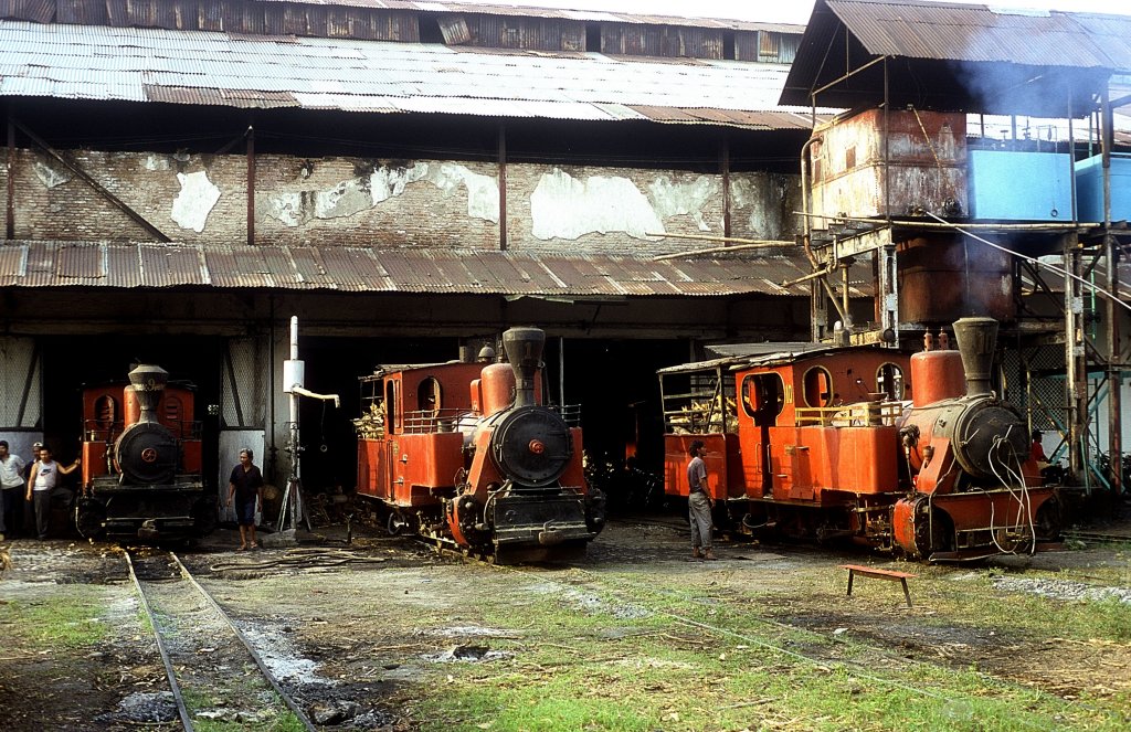 Nr.10 + Nr.1 + Nr.9  Pangkah  05.08.04