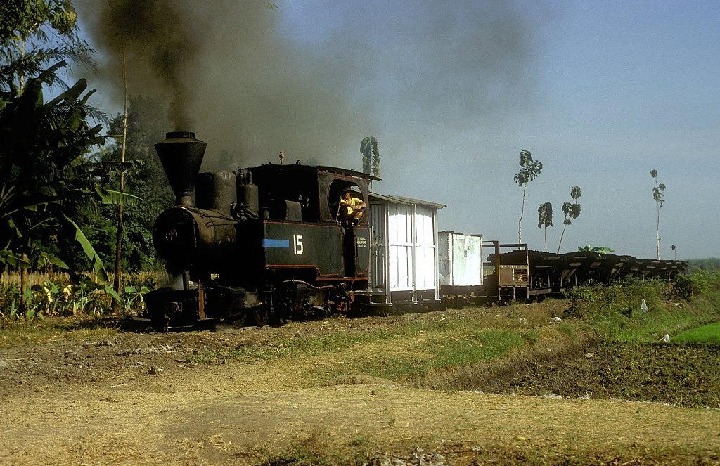 Nr.15  Semboro  15.08.04