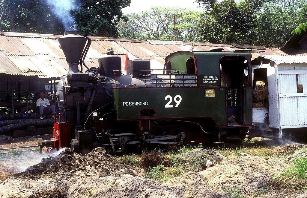 Nr.29  Semboro  21.08.95