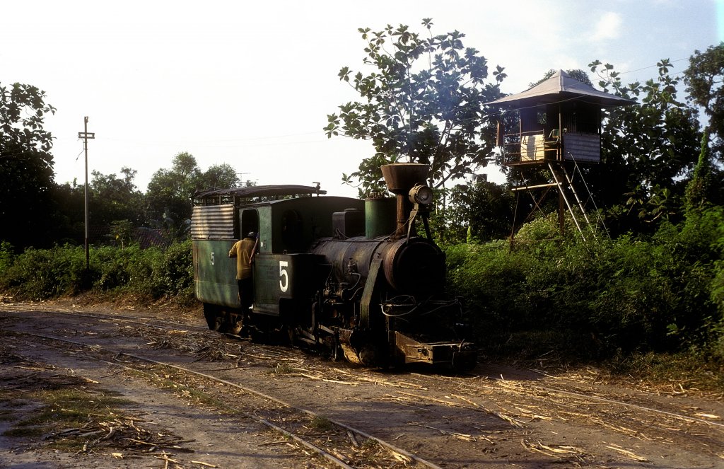 Nr.5  Cepiring  14.08.95