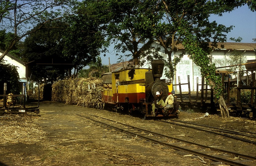 Nr.5  Merican  12.08.04