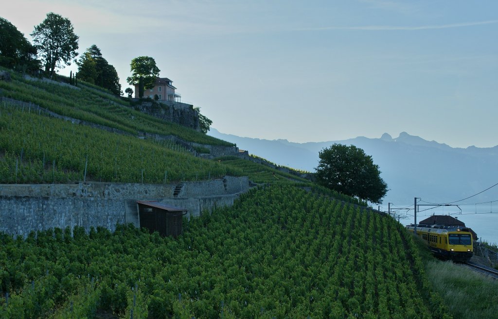 Nur etwa eine Stunde lang kann man die Bergseitig von der Sonne angeleuchteten Train des Vignes in diesem Bereich fotografieren, doch wie man sieht, habe ich mich verschtzt und war viel zu frh zur Stelle; aber fr ein anders gesehenes Landschaftsfoto war meiner Meinung das frhe Morgenlicht ideal und eine kleine Zug gibt es ja auch zu sehen...
Bei Chexbres, den 29. Mai 2011