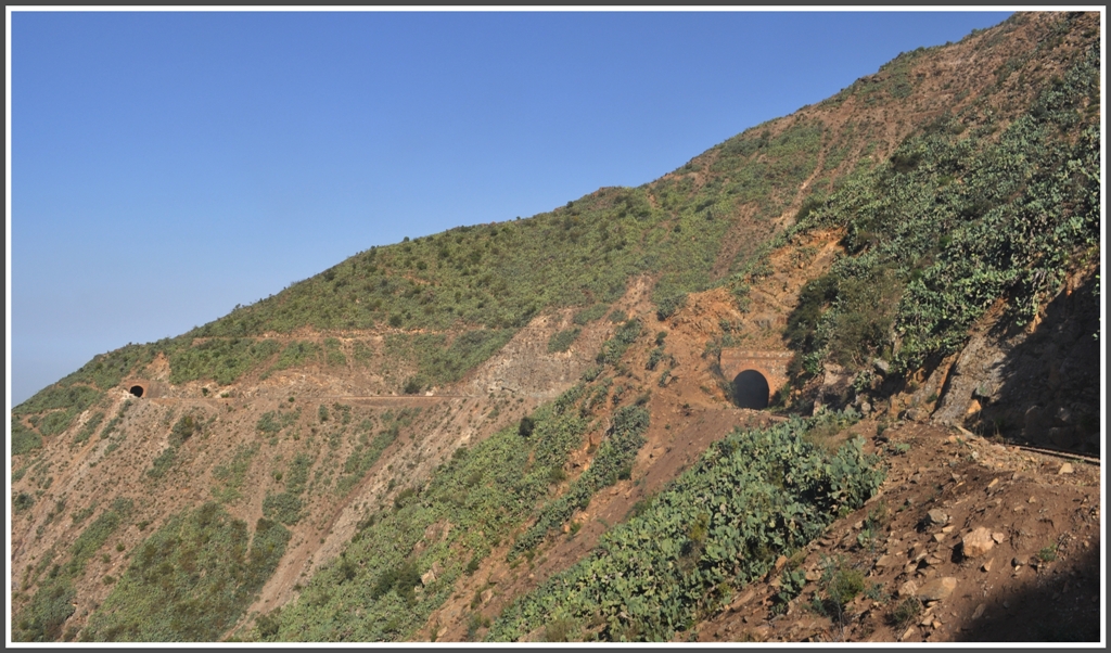 Nur mit vielen Tunnels und Sttzmauern liessen sich die steilen Hnge unterhalb Arbarobas bezwingen. (01.02.2012)