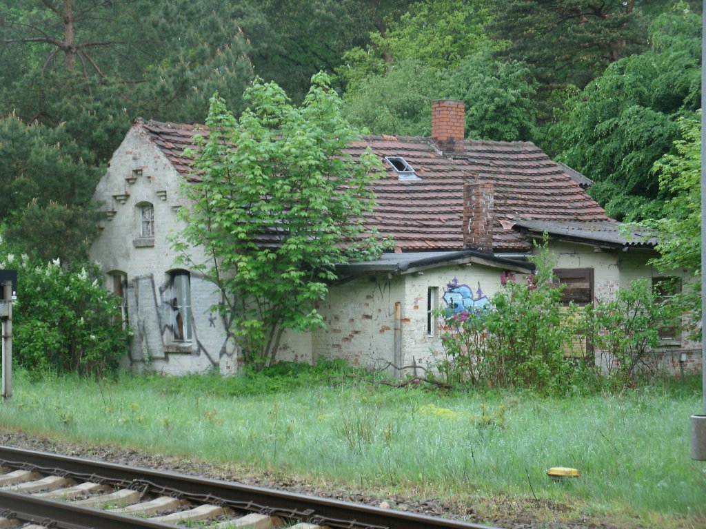 Nur noch eine Ruine das ehmalige Bahnwrterhuschen in Jeeser(Strecke Stralsund-Berlin)am 19.Mai 2013