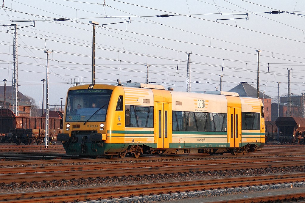 ODEG VT 650.80 am 28.01.2011 in Angermnde auf dem Weg nach Prenzlau