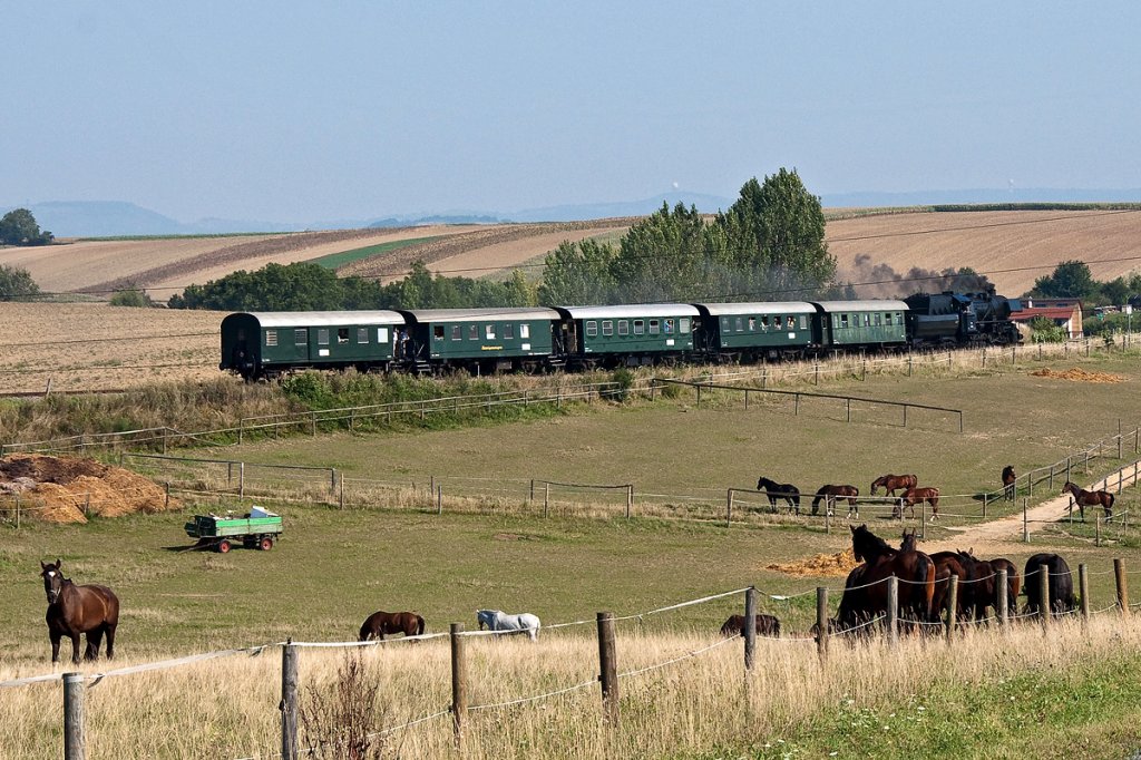 �SEK 52 100 mit EZ 7390 nach Ernstbrunn bei W�rnitz-Hetzmannsdorf, vor einer relativ unbeeindruckten Pferdeschaar, am 27.08.2011.