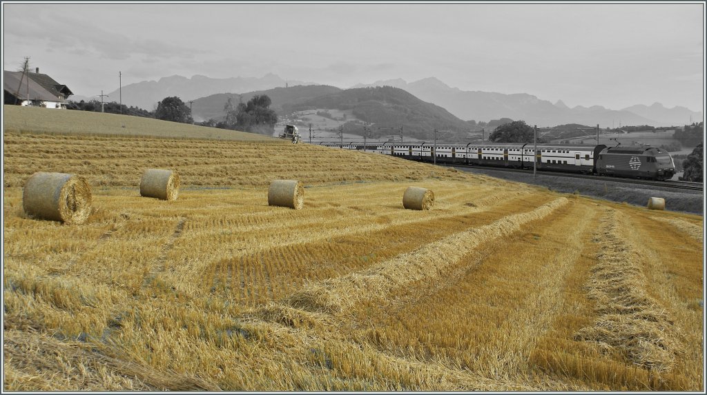 stliche Inspiration, ein wenig Spielerei et voil, ein Bild der etwas anderen Art: Re 460 mit IC 739 Genve - St. Gallen bei Oron am 10. August 2010.