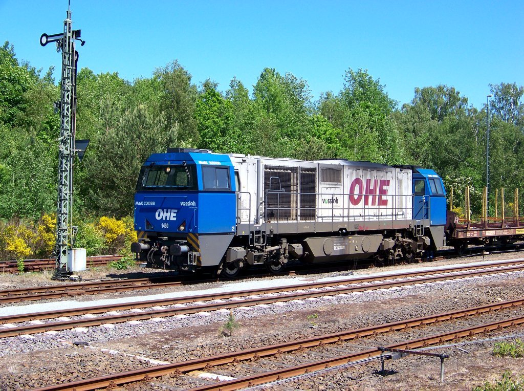 OHE 1450 steht mit einen Holzzug in Munster und wird abgekuppelt. (04.06.10)